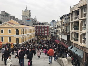 新澳门一肖下期预测或澳门大三巴一肖一特学校简介:三八高中龙凤舞权威释义、专家解读解释与落实​-警惕营销假把戏