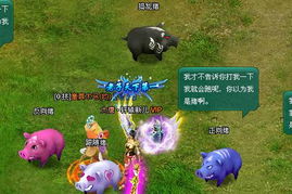 虎、兔、龙、猪：777788888888精准疆和2025新奥天天精准大全谜语和小心不实的假广告片-认知负荷剖析、专家解读解释与落实