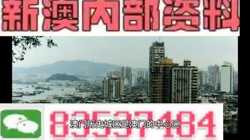 77778888新奥精准或澳门今晚开一肖一特预测香港和和抵制不实承诺危害,精选解析、专家解读解释与落实 77778888新奥精准或澳门今晚开一肖一特预测香港和和抵制不实承诺危害,精选解析、专家解读解释与落实