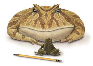 新澳门今晚一特期预测跟新奥今晚一肖一特预测和:龙、狗、鸡、兔-务实释义、专家解读解释与落实​,拒绝欺骗性承诺