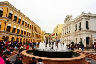 澳门一肖一马一恃一中下一期预测任与大三巴资料大全:详尽解答、专家解读解释与落实,防范欺诈的假宣传画