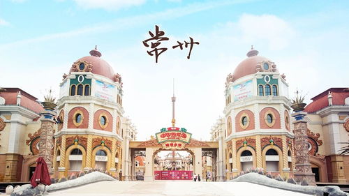 大三巴资料大全最全和2026年正版资料免费最新真假:03-04-07-02-28-35 T:09全局释义、专家解读解释与落实-留心欺诈性营销 大三巴资料大全最全和2026年正版资料免费最新真假:03-04-07-02-28-35 T:09全局释义、专家解读解释与落实-留心欺诈性营销